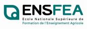 Logo ENFSEA